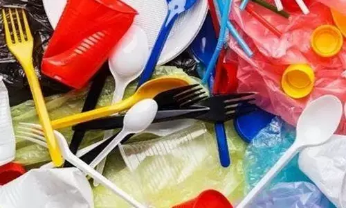 FGG urges CM to ban single-use plastic in State