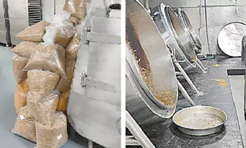 Indigo flyers beware! Live roaches found at airline’s food supplier