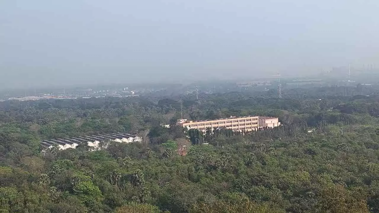 A view of Ukkunagaram quarters completely covered with greenery in Visakhapatnam. Photo: Vasu Potnuru. A view of Ukkunagaram quarters completely covered with greenery in Visakhapatnam. Photo: Vasu Potnuru.