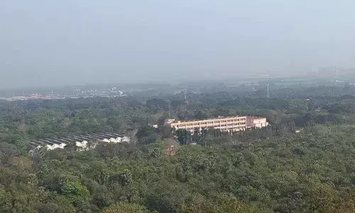 A view of Ukkunagaram quarters completely covered with greenery in Visakhapatnam.  Photo: Vasu Potnuru.