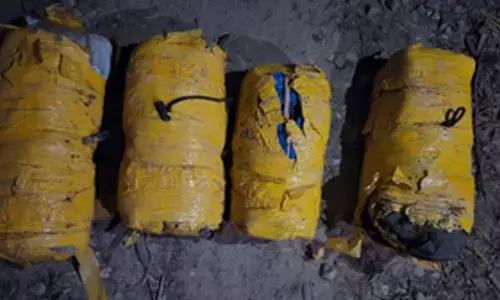 30 kg Pakistan-origin heroin seized in Punjab, one arrested