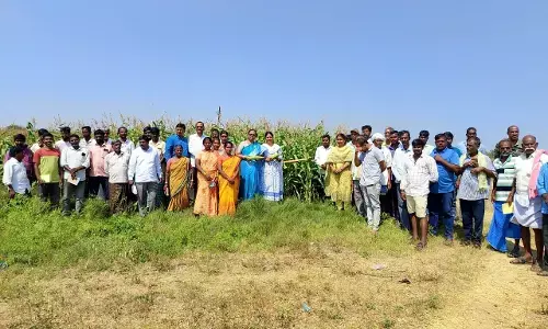 Awareness Conference by Scientists for Farmers on High-Yielding Maize Crop
