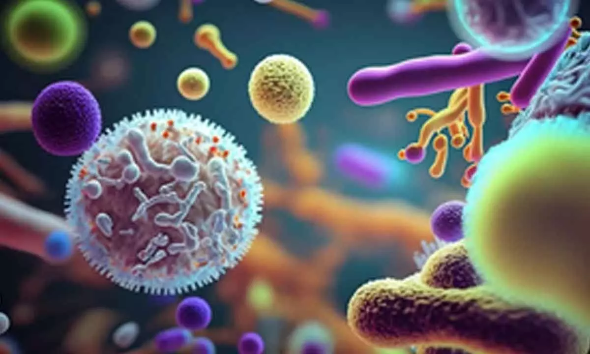 Study shows antidepressants can fight infections, sepsis Study shows antidepressants can fight infections, sepsis