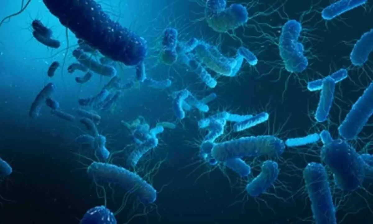 ICMR seeks private partners for joint development of typhoid, paratyphoid vaccine ICMR seeks private partners for joint development of typhoid, paratyphoid vaccine