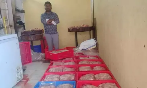 Task Force seizes 600 kg noxious chicken wastage, nabs 2
