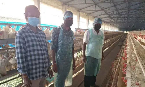 Bird flu preventive measures intensified