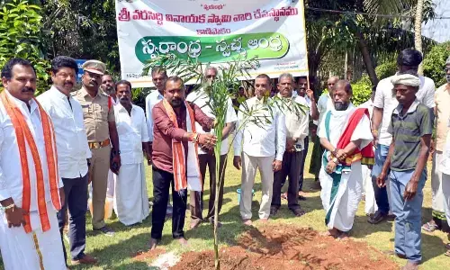 Tree plantation drive held at temple