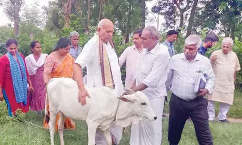 Chamundeswari: A champion of organic farming in Tirupati