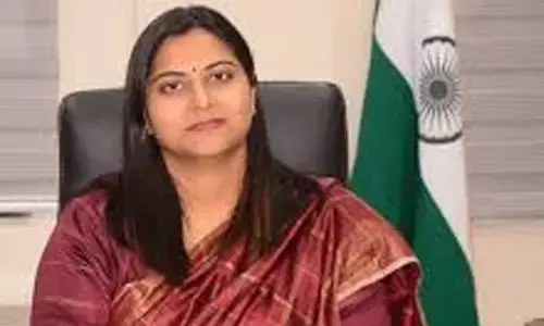 Fake Facebook account in Collector’s name