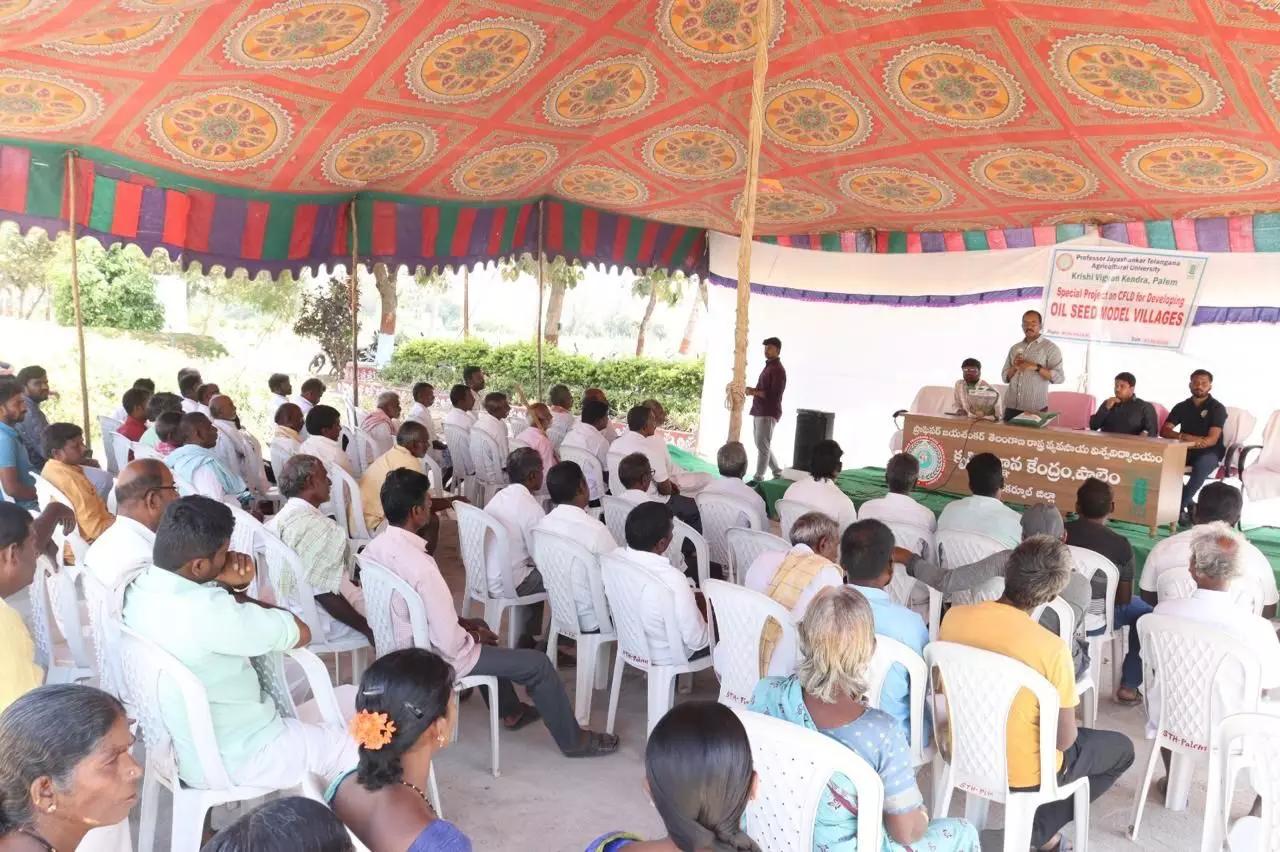 Demonstration of High-Yield Oilseed Crops Held in Vasanthapur