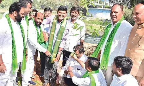 BRS cadre to embark on massive plantation drive