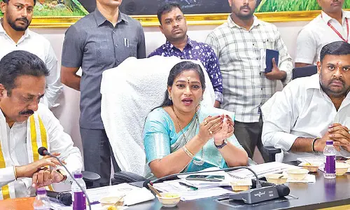 Facilitate hassle-free darshan during Sivaratri Brahmotsavam: HM