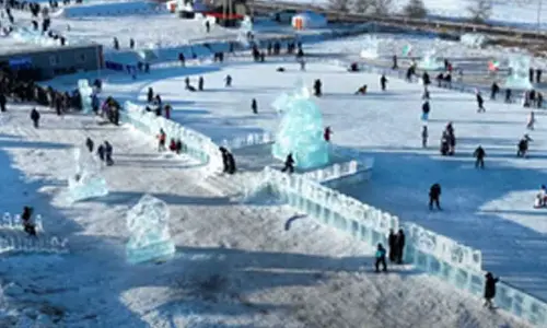 Mongolia celebrates nomadic heritage, Mazaalai conservation at winter tourism festivals