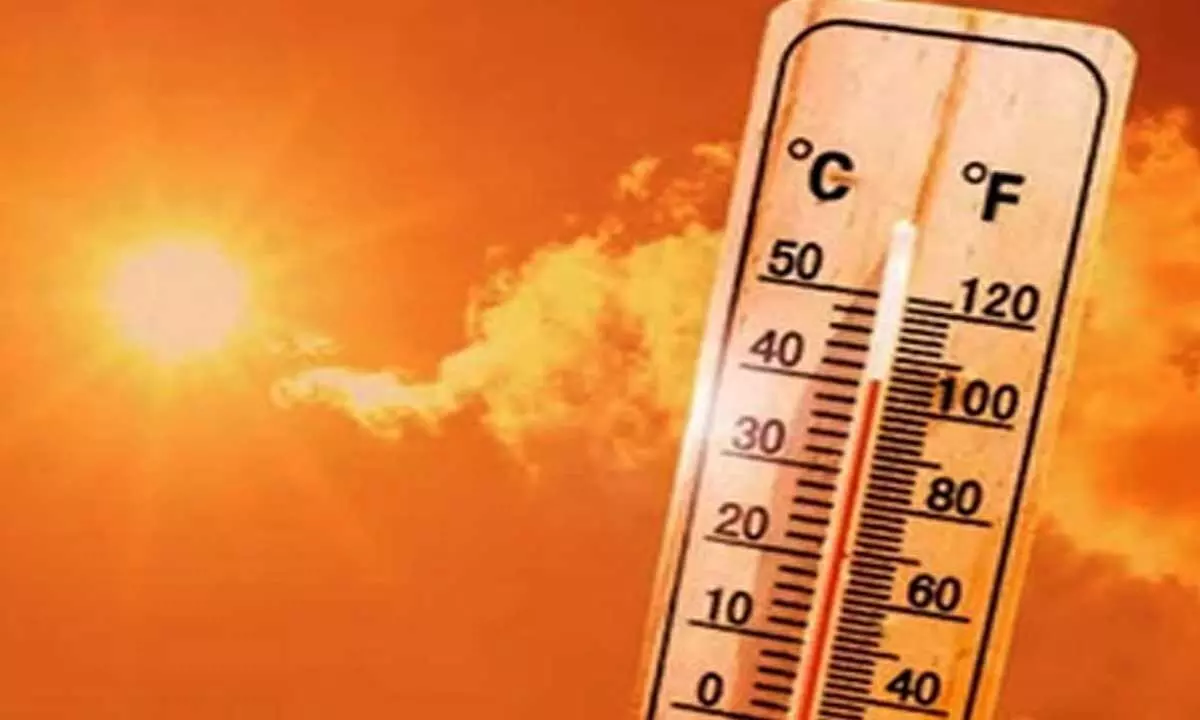 Cities at highest risk as climate change increases heatwave mortality: Study