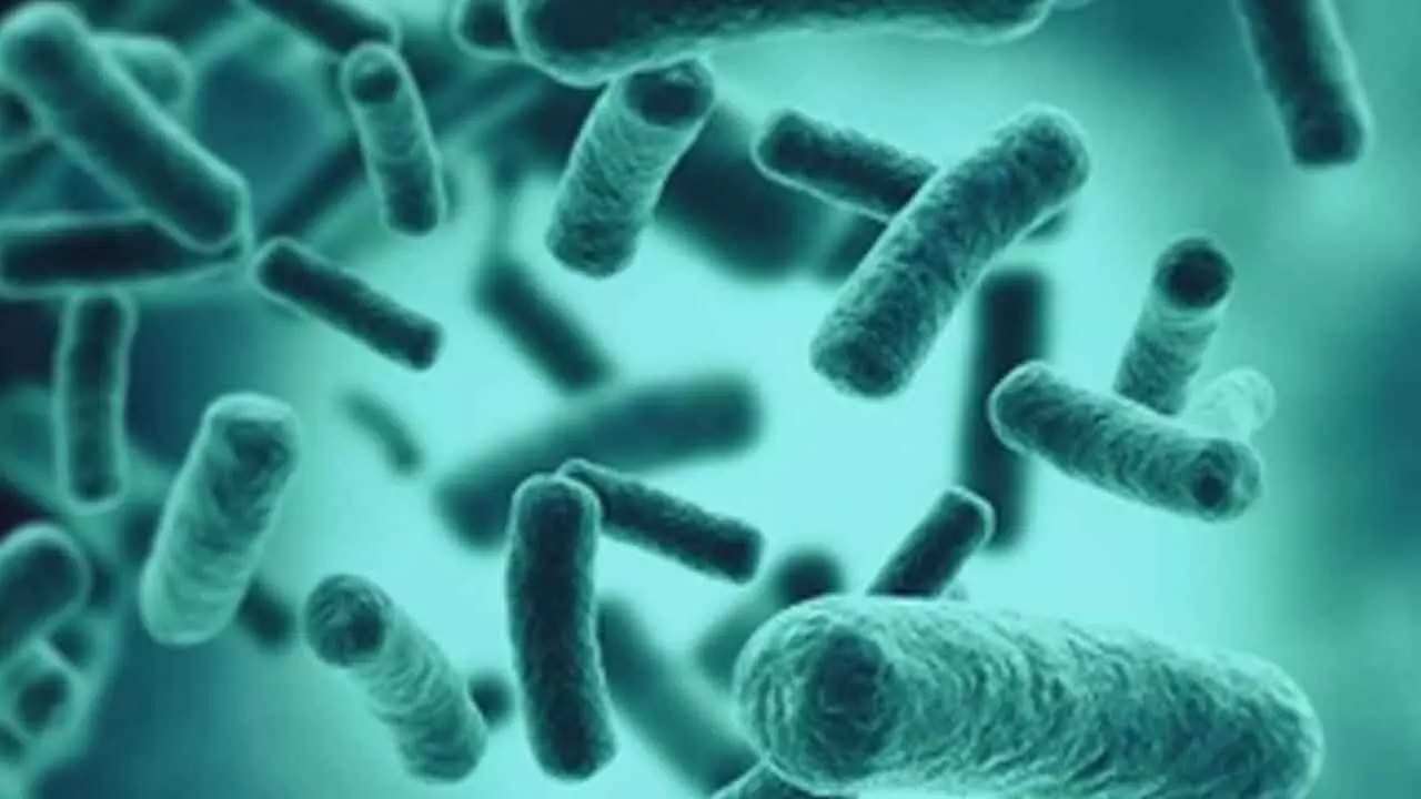 Swimming in lakes with still waters can cause bacterial pneumonia: Study Swimming in lakes with still waters can cause bacterial pneumonia: Study