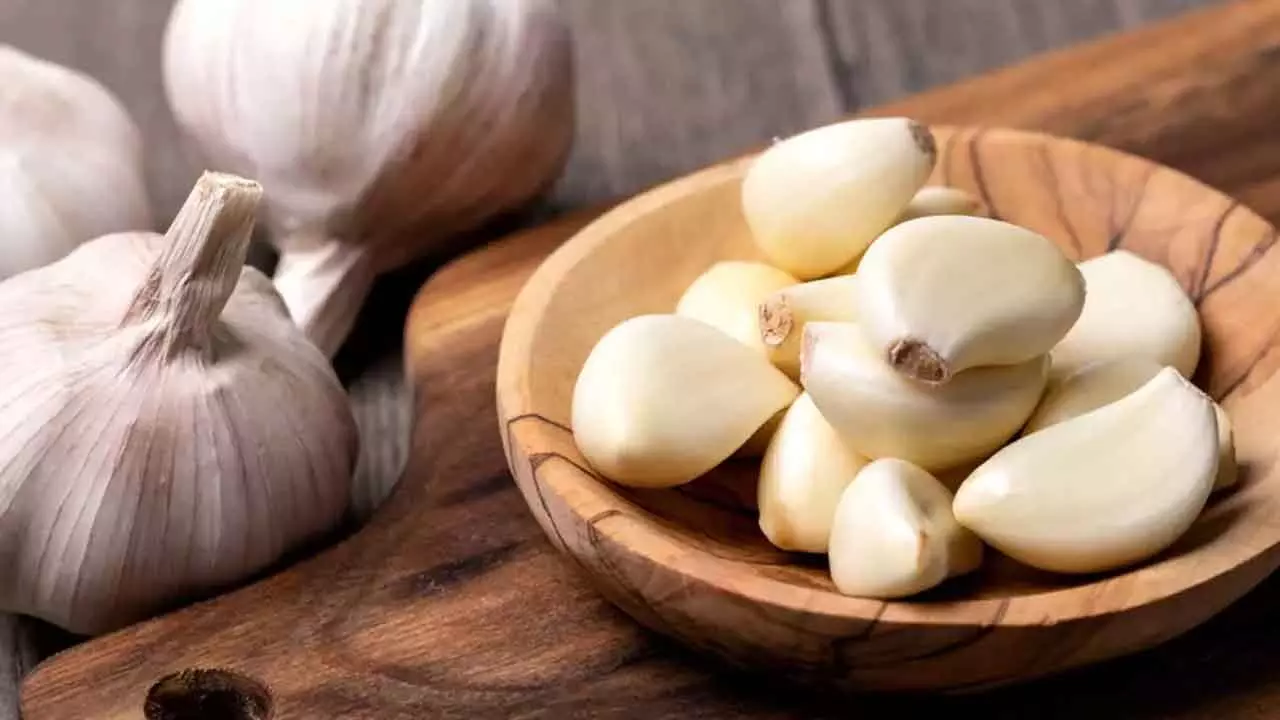 Garlic for Skin: Amazing Benefits of Chewing a Clove on an Empty Stomach Garlic for Skin: Amazing Benefits of Chewing a Clove on an Empty Stomach