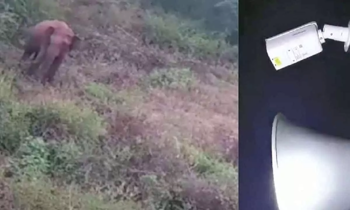 New technology helps farmers keep wild elephants at bay New technology helps farmers keep wild elephants at bay