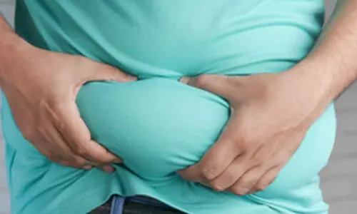 Study finds new subtypes of fat cells in human body