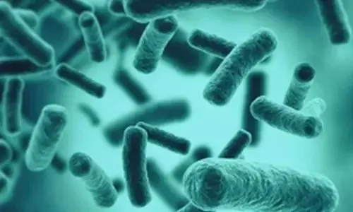 Swimming in lakes with still waters can cause bacterial pneumonia: Study