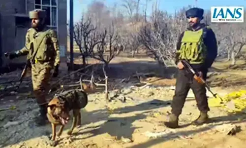 Two suspicious objects detected in J&K’s Shopian, Tral