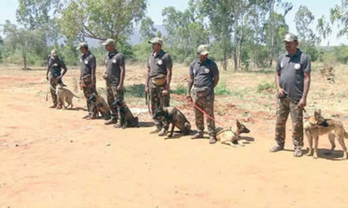 India’s first tracker dog training centre at Bandipur Tiger Reserve