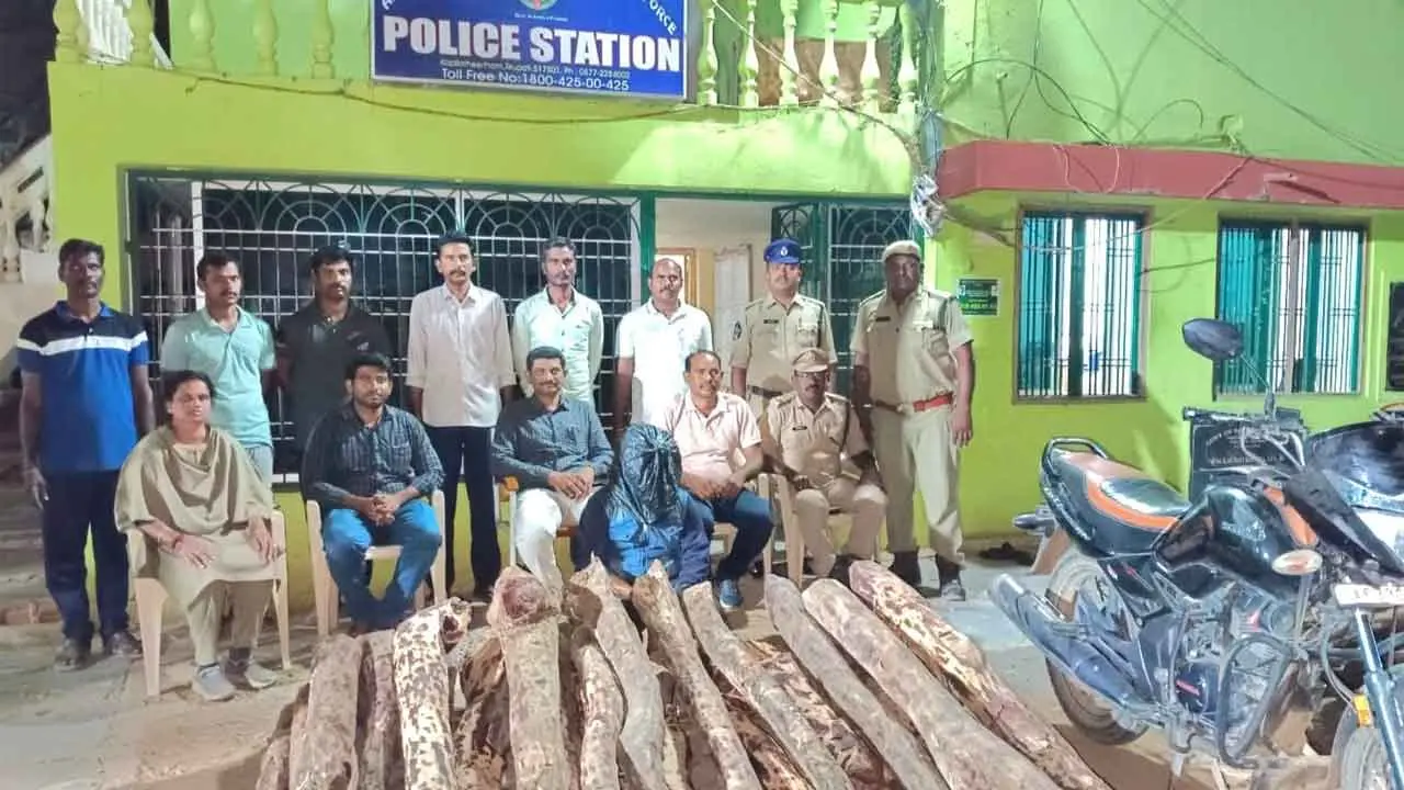 Tirupati: One held, 27 red sanders logs seized