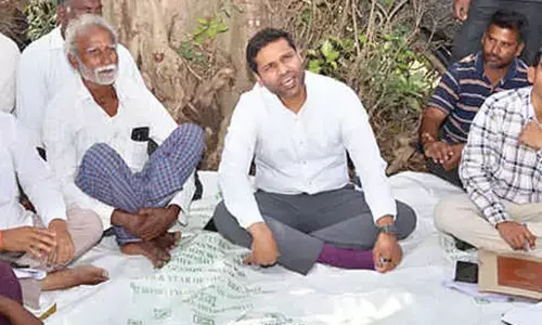 Instal solar fence for potentiating dragon fruit