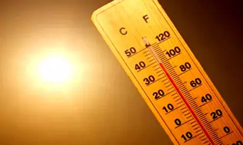 Weather Department predicts rise in temperature in many districts of TN for next few days