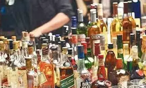 Illicit liquor valued at Rs 6.89 lakh seized; one arrested in Gujarats Vadodara