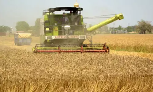 India turns food-surplus powerhouse driven by robust farm sector growth: Study