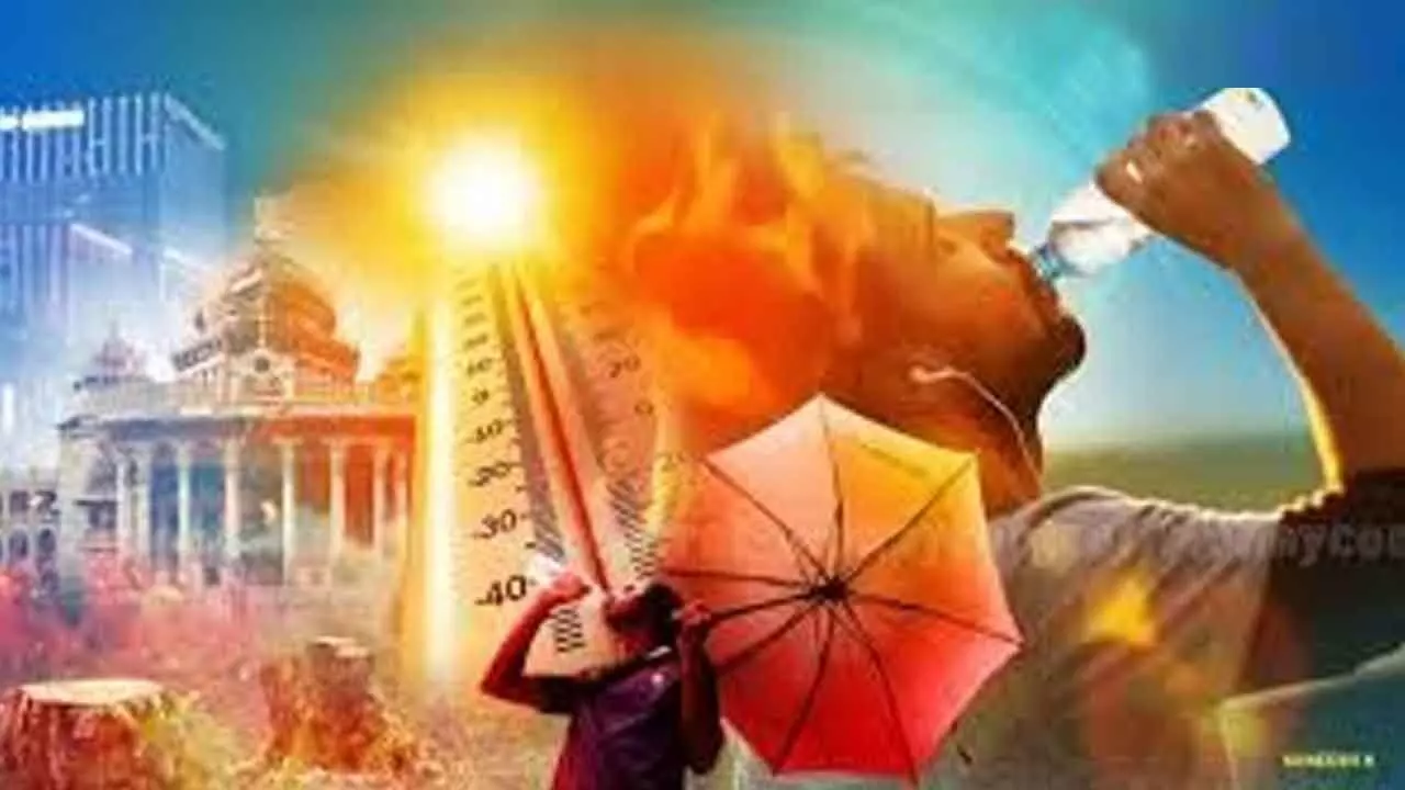 February temperature highest in 20 years February temperature highest in 20 years