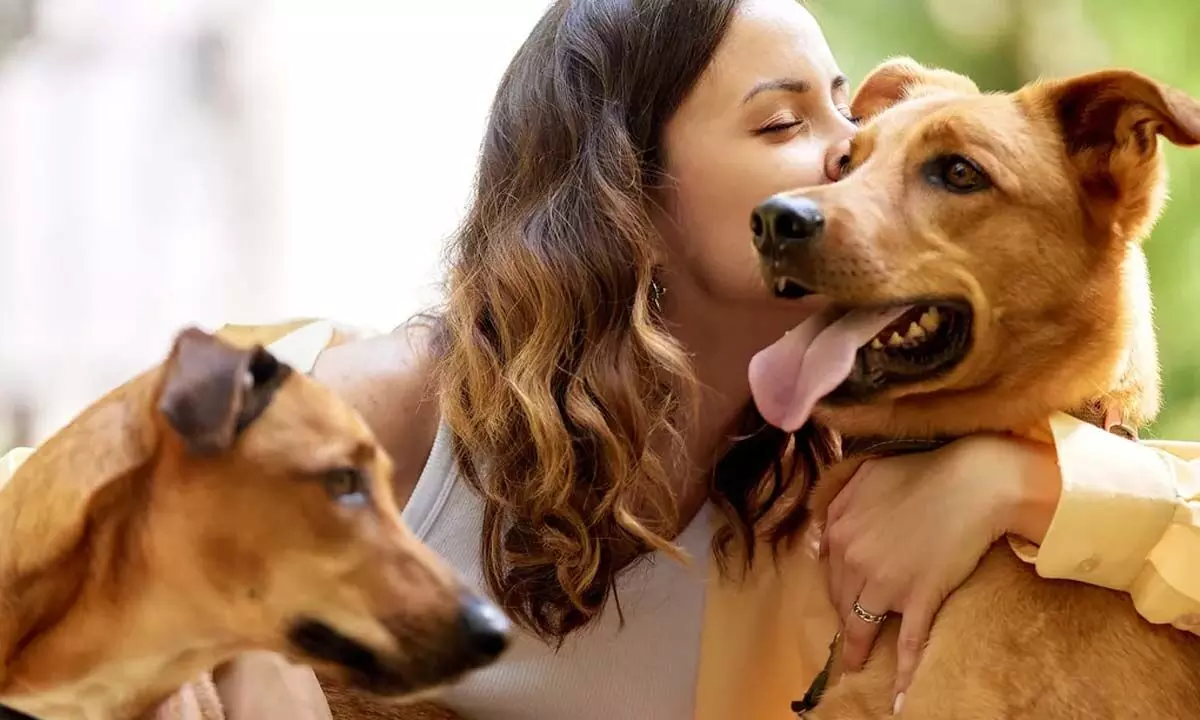 Celebrate Love Your Pet Day with Clean and Safe floors for your Furry Friends! Celebrate Love Your Pet Day with Clean and Safe floors for your Furry Friends!