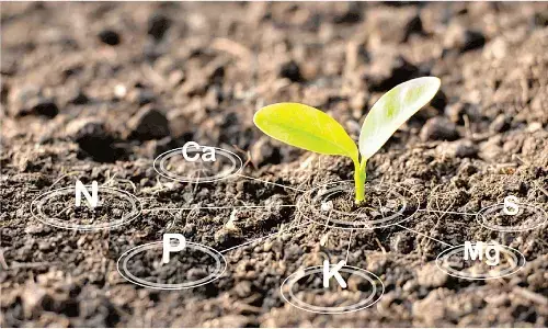 Swasth Dharaa, Khet Haraa