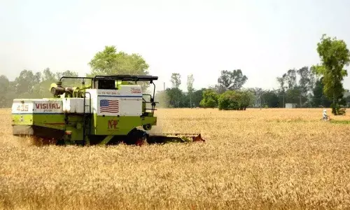 India turns food-surplus powerhouse driven by robust farm sector growth