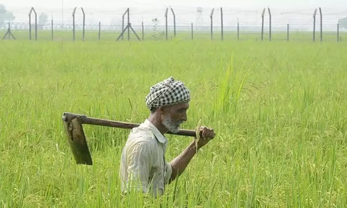 DFO assures to prioritise farmer issues DFO assures to prioritise farmer issues