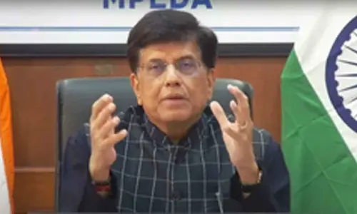 Japan is Indias 5th-largest source of foreign investment: Piyush Goyal