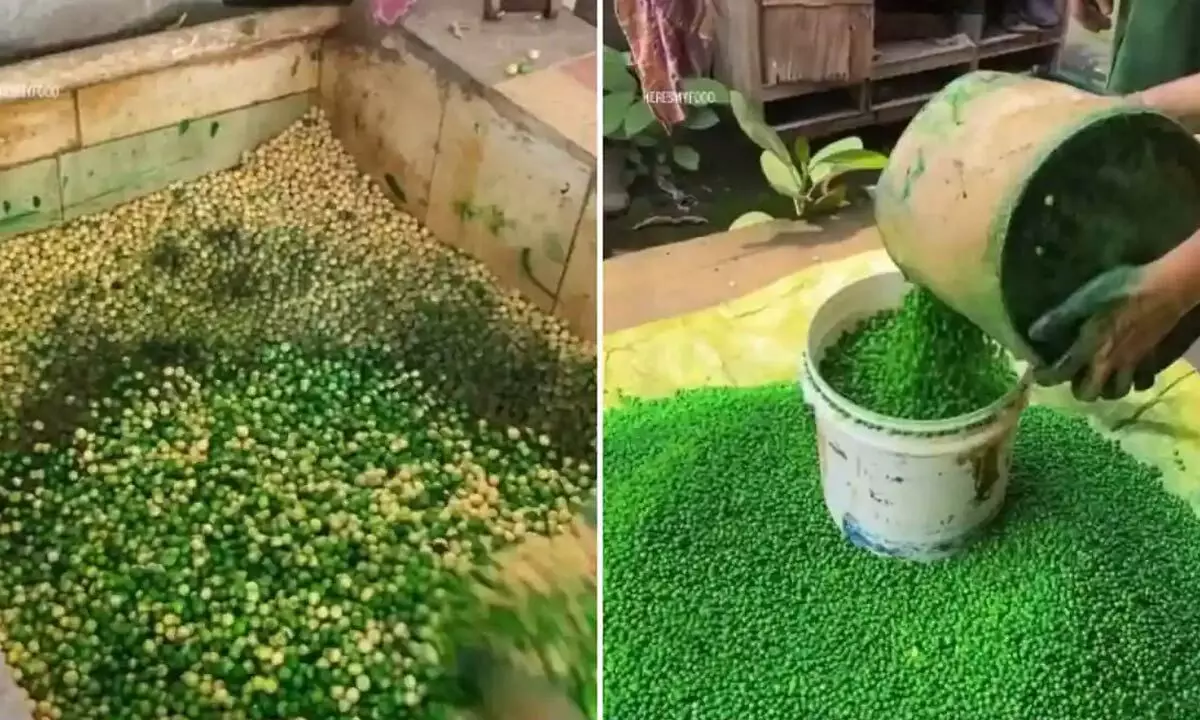 Govt cracks down on artificial colouring in fried green peas