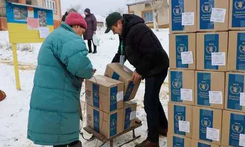 Territorial integrity of Ukraine, Palestine paramount