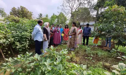 Natural farming seen as solution to climate change