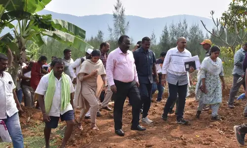 Collector takes officials to task over pending petitions