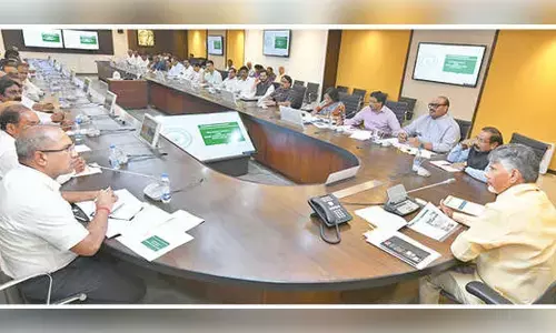 Govt assures relief to chilli farmers