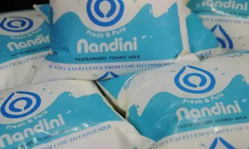 Despite pressure from KMF, govt yet to decide on hiking milk price by Rs 5 per litre