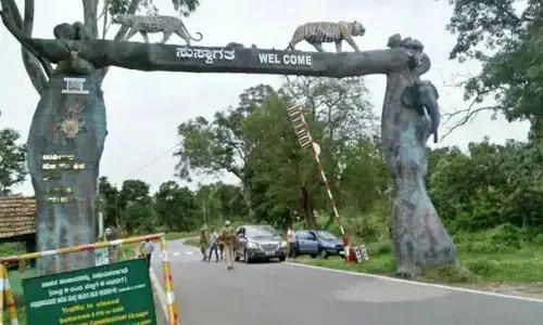 Bandipur implements FASTag for green tax collection to ease weekend traffic woes