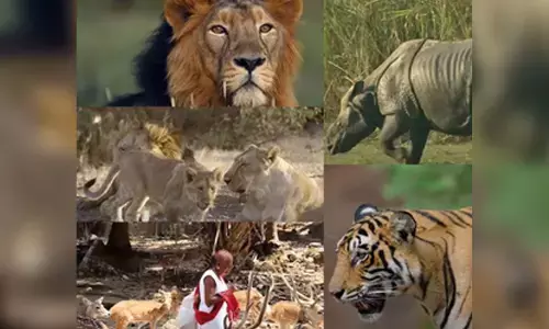 PM Modi calls for wildlife conservation, lauds Indias rich biodiversity