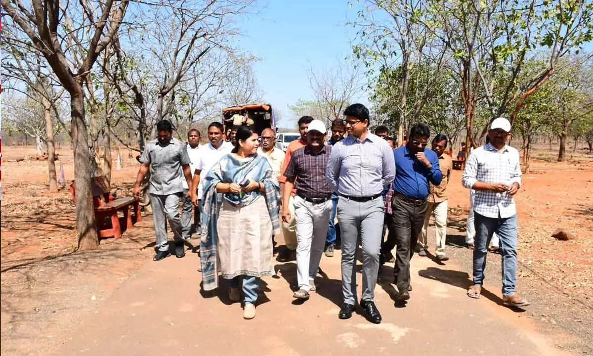 Make meticulous arrangements for Guv visit to Srisailam Make meticulous arrangements for Guv visit to Srisailam
