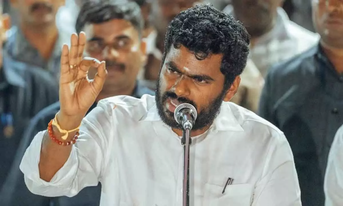 DMK Activists Blacken Hindi Text On Government Signs; BJP Chief Annamalai Calls Out Hypocrisy On Language Policy