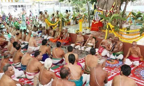 971st incarnation of Sri Anantalwar observed