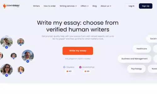 Review of DoMyEssay for Academic Writing