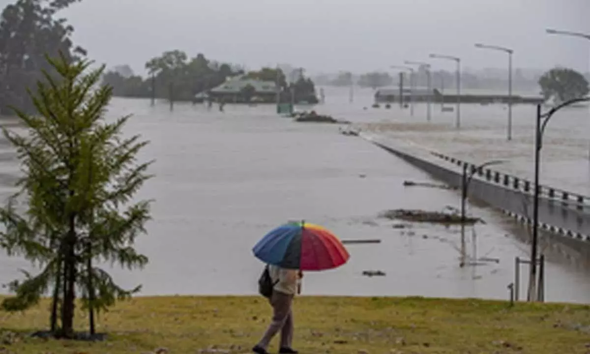 Death toll from tropical disease melioidosis in Australia rises to 12 Death toll from tropical disease melioidosis in Australia rises to 12