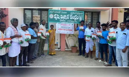 Prog held on home vegetable cultivation